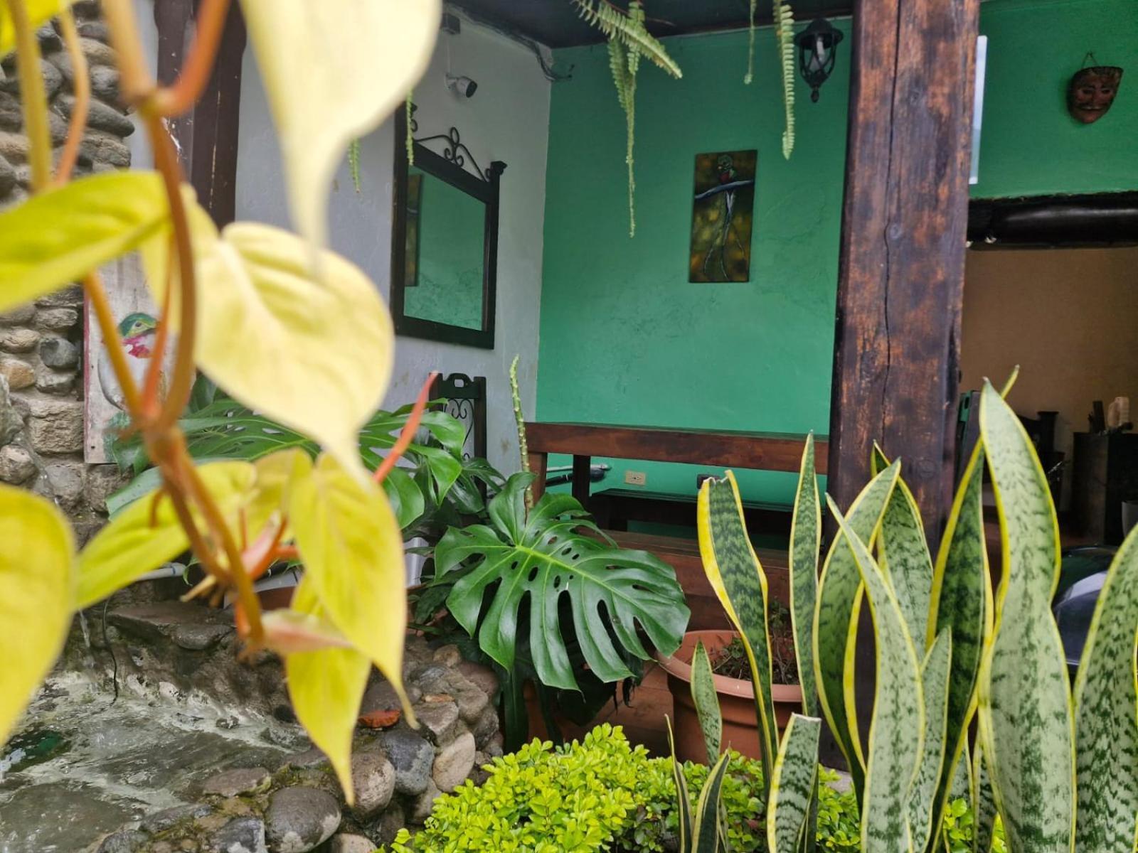 Casa Nikte Hotel أنتيغوا غواتيمالا المظهر الخارجي الصورة